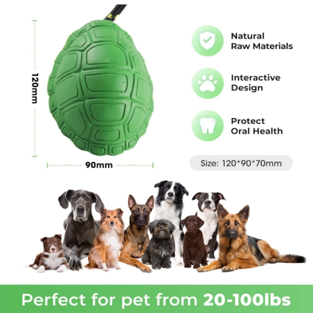 Wholesale Turtle Pet Toy Dog Toothbrush ODM for Aggressive Chewer